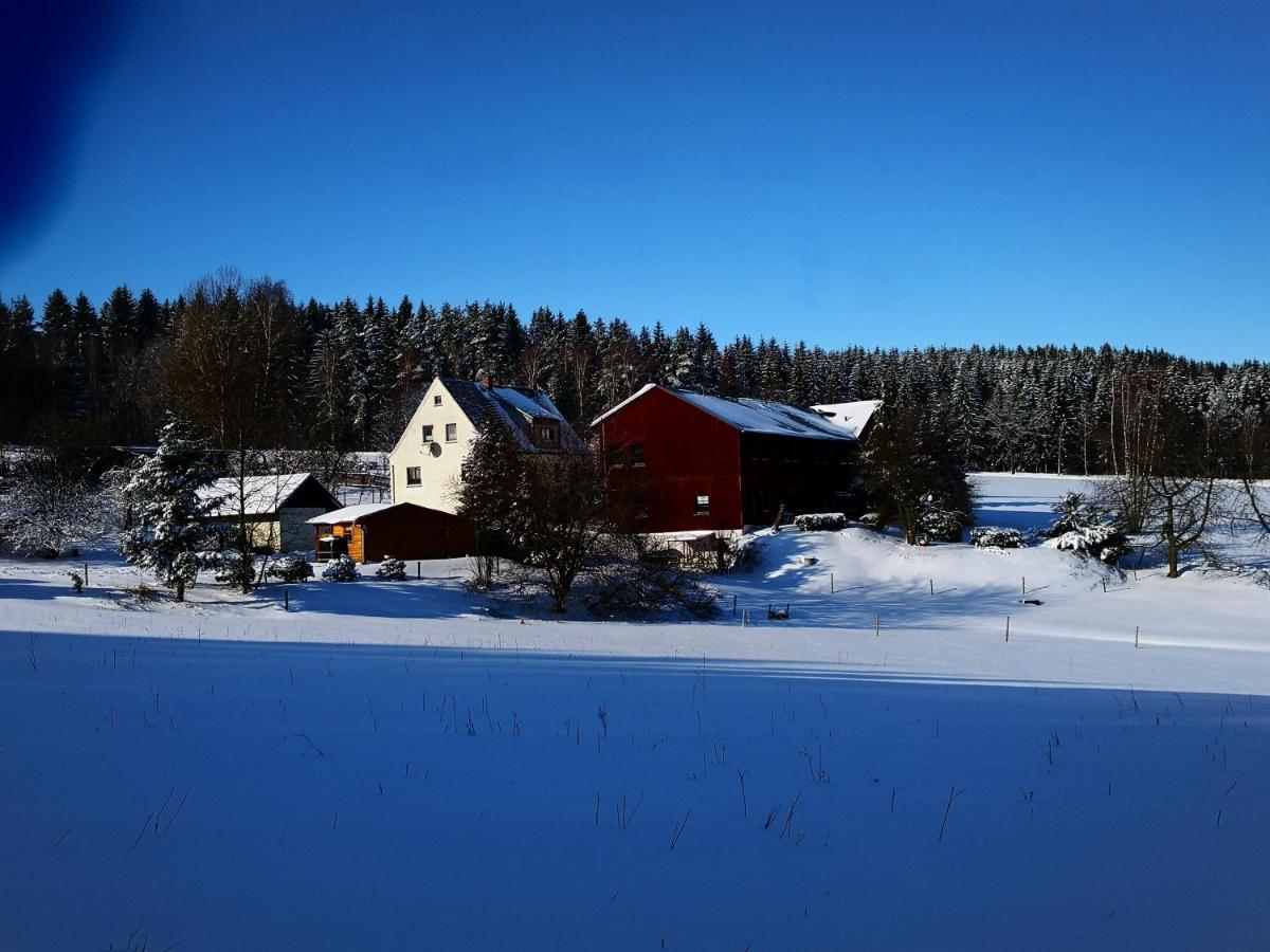 Ferienwohnungen 1 Bis 4 "Pumphut'S Scheune" Lengenfeld  Exterior foto